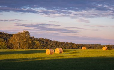 Gün batımında ormanla birlikte çayırda bir saman fırtınası. Çek tarım arazisi geçmişi