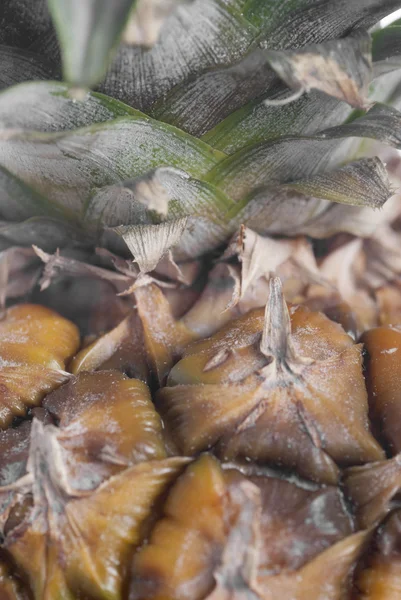 Makro ananas textura. — Stock fotografie