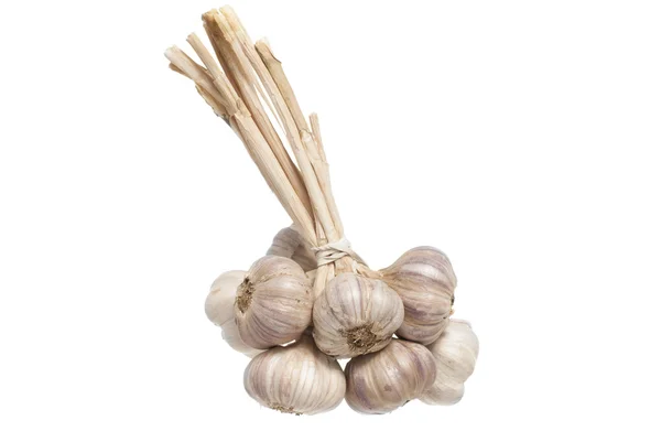Bunch Garlic, White Background. — Stock Photo, Image