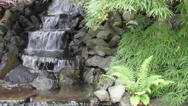 Cascata nel giardino zen cortile con piante — Video Stock