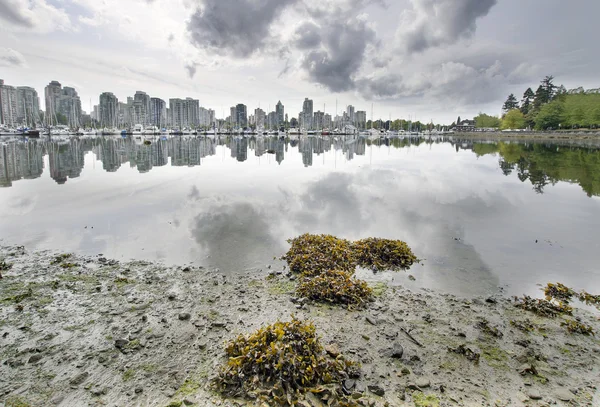 Low tide op false creek in stanley park — Stockfoto