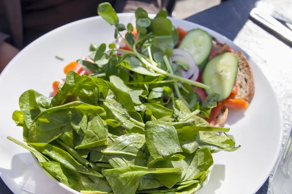 Špenátový salát s uzeným lososem — Stock fotografie