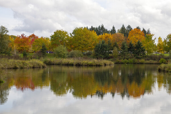 Reflection of Fall Trees by the Pond