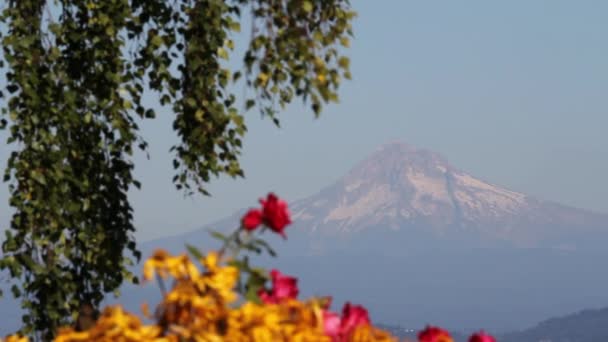 Мальовничий вид на гори капот в Портленді Орегон 1080 р — стокове відео