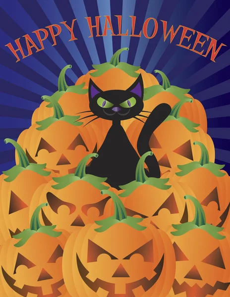 Halloween Cat with Pumpkins Illustration — Stock Vector