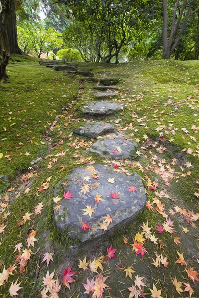 Fallen Maple Tree Leaves on Stone Steps and Moss — Stock Photo, Image