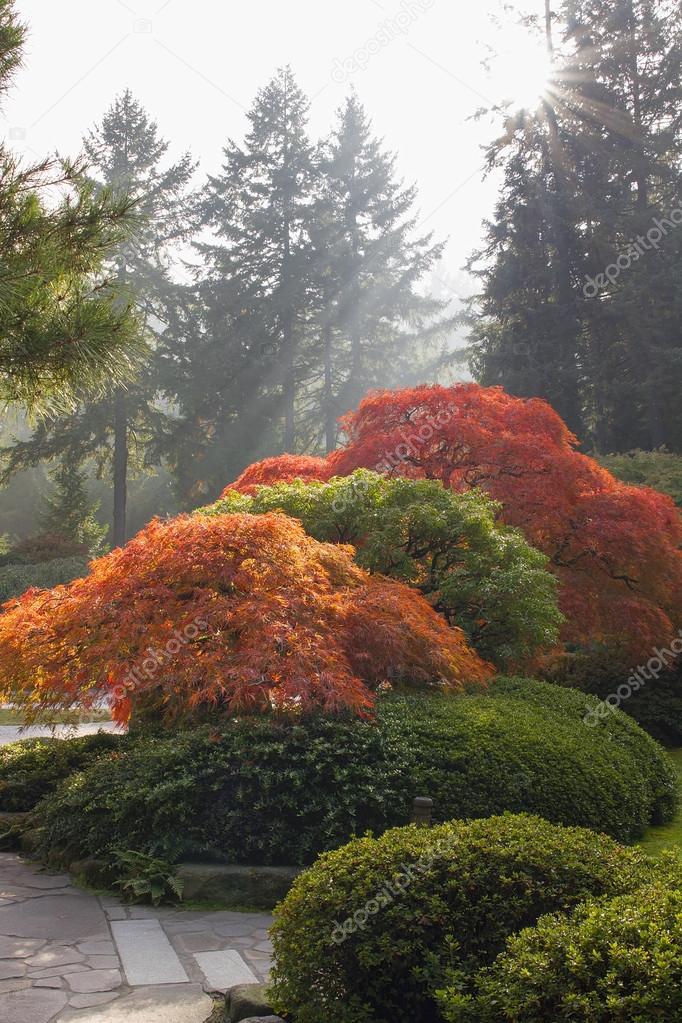 Japanese Garden in the Fall Season