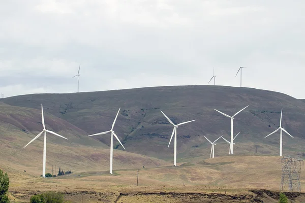 Granja de energía de turbina eólica —  Fotos de Stock