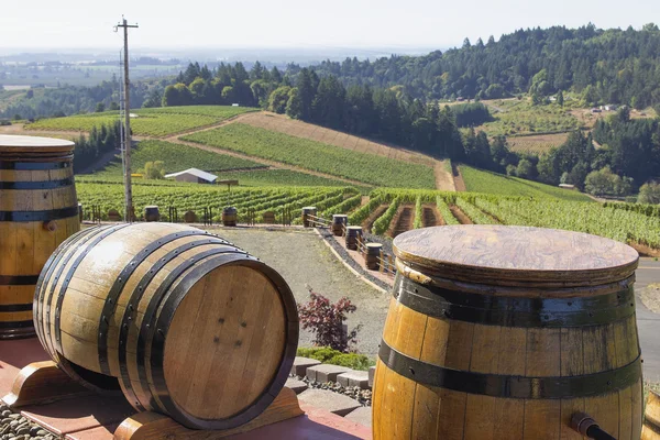 Weinfässer im Weinberg — Stockfoto