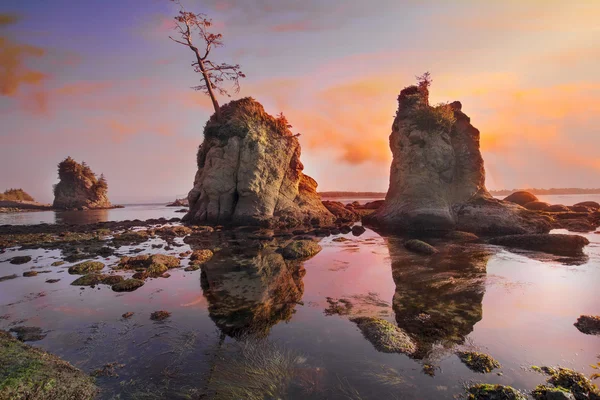 Sonnenuntergang über Schwein und Sau an der oregonischen Küste — Stockfoto