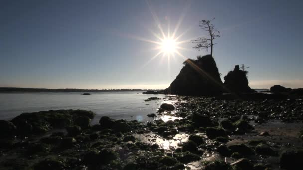 Gün batımında garibaldi plaj boyunca oregon kıyılarında 1080p — Stok video