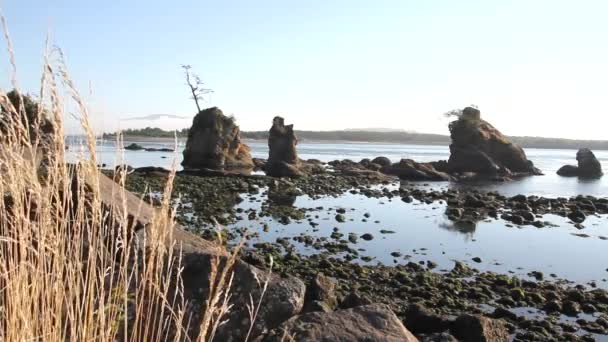 Basse marée à Garibaldi Beach le long de la côte de l'Oregon 1080p — Video