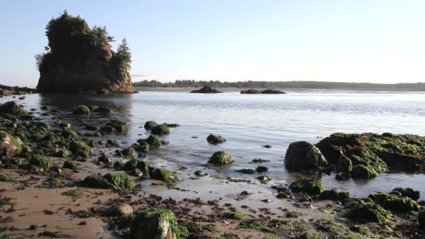 Lowtide en la playa de Garibaldi a lo largo de Oregon Coast 1080p — Vídeos de Stock