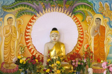 Aydın Buda bodhi ağacı altında oturan