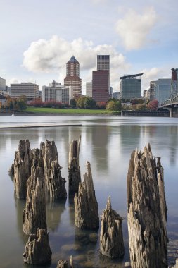 Portland oregon sahil