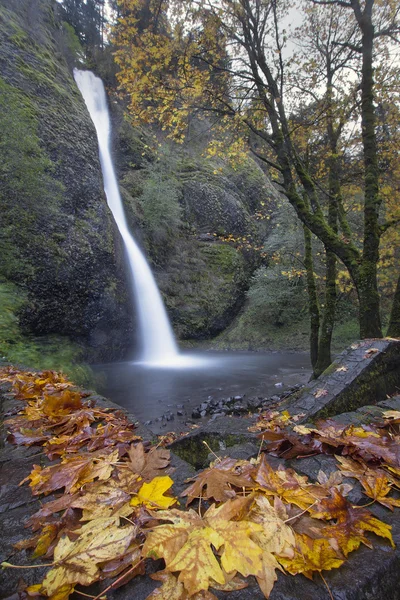 Horsetail Falls Oregon em Outono — Fotografia de Stock