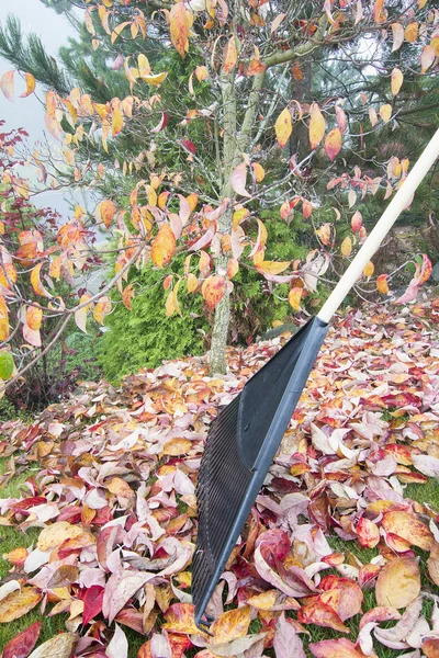 Râteau Feuilles d'automne dans le jardin Vue latérale verticale — Photo