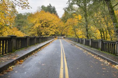 Autumn Trees Along Historic Columbia Highway Bridge clipart