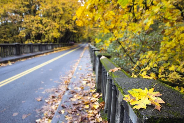 歴史的なコロンビアの道路橋に沿って秋葉 — ストック写真