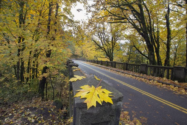 Jesień wzdłuż zabytkowego mostu autostrady columbia — Zdjęcie stockowe