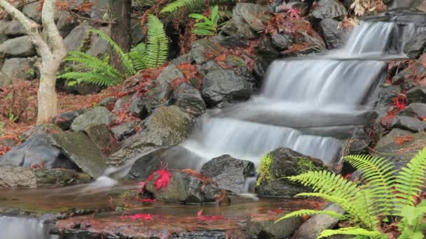 Timelapse of Waterfall Feature in Backyard Garden in Autumn — Stock Video