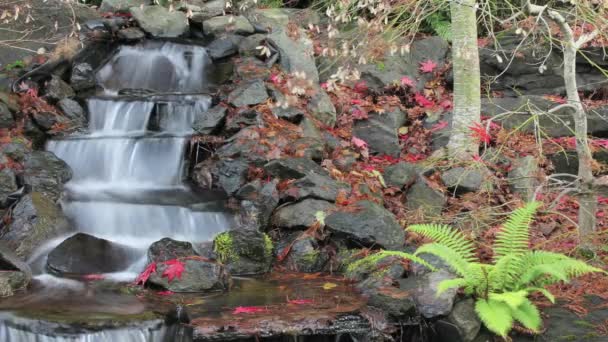 Timelapse van waterval functie in achtertuin tuin in de herfst — Stockvideo
