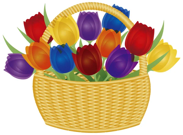 Velikonoční košík s tulipány barevné ilustrace — Stockový vektor