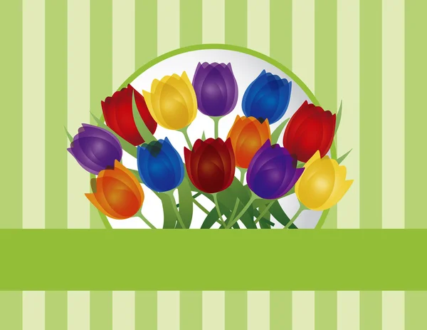 Ilustração colorida do cartão da saudação das tulipas — Vetor de Stock