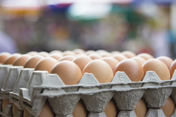Tálcák, csirke tojás — Stock Fotó
