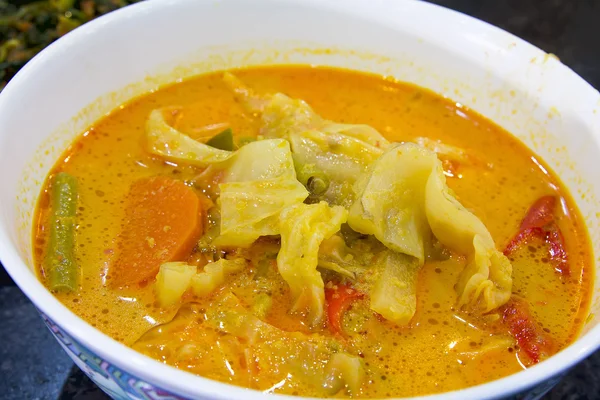 Nonya Sayur Lodeh prato de sopa de legumes Closeup — Fotografia de Stock