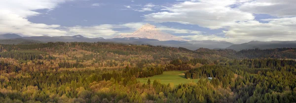 Mount Hood Over Sandy River Valley — Stock Photo, Image