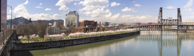 kiraz çiçeği boyunca portland oregon waterfront panorama