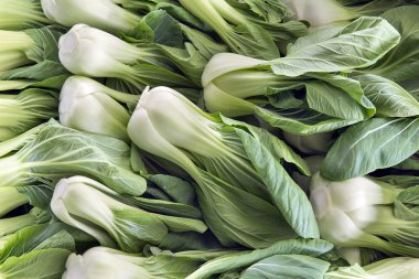 Chinese Cabbage Bok Choy clipart