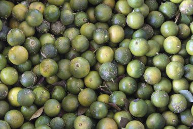 calamansi limes arka plan