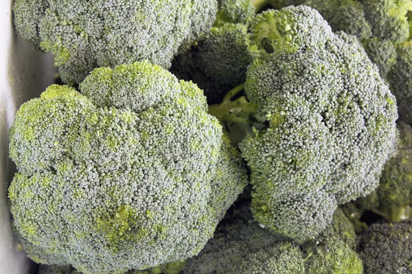 Broccoli groene groenten — Stockfoto