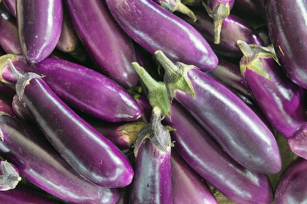 Aubergine plantaardige achtergrond — Stockfoto