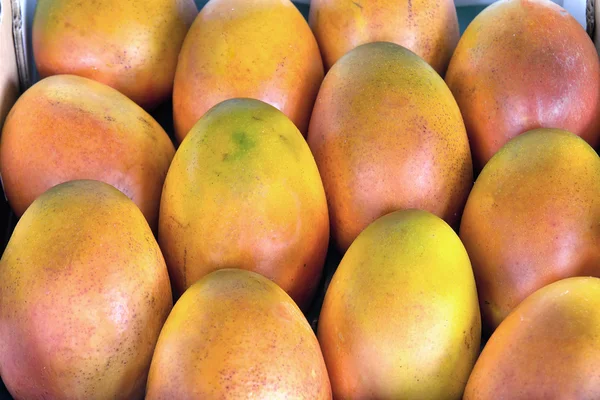 Grove gegroeid mango's close-up — Stockfoto