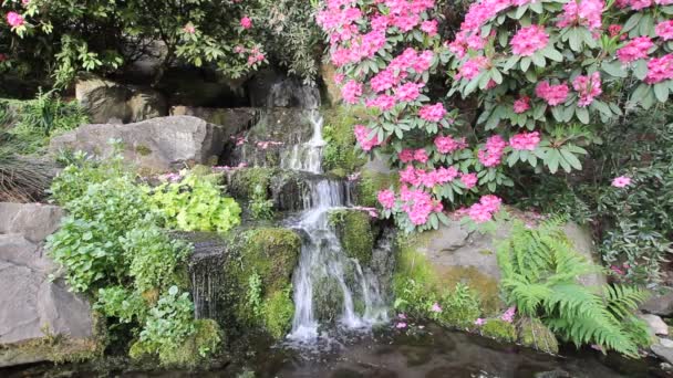 Wasserfall mit Farnen, Rhododendronblumen, Hostas und Moos in Kristallquellen Garten in Portland, Oregano 1080p — Stockvideo