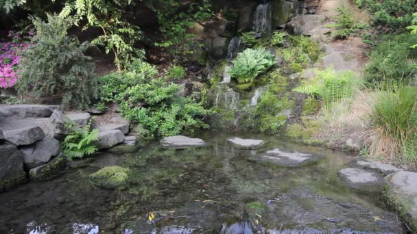 Cascada en el jardín del patio trasero con helechos Moss y flores de
