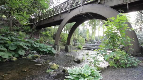 Water creek met planten, bomen en houten brug in kristal veren tuin in portland oregon 1920 x 1080 — Stockvideo