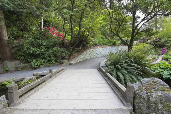 Foot Bridge Along Hiking Trail — Stock Photo, Image