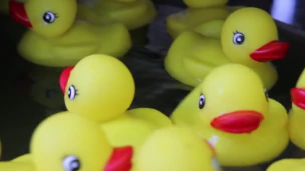 Яркие желтые резиновые утиные игрушки, плавающие в воде в круговом движении 1920x1080 — стоковое видео