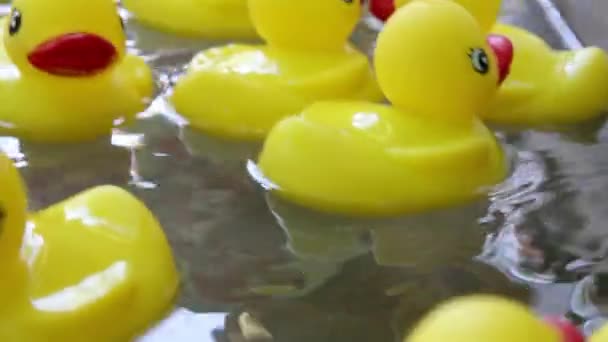 Patitos de goma flotando en una piscina de agua en movimiento 1920x1080 — Vídeo de stock