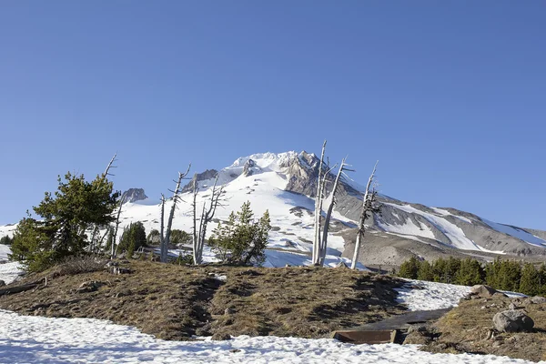 Mt Hood in Oregon — Stock Photo, Image