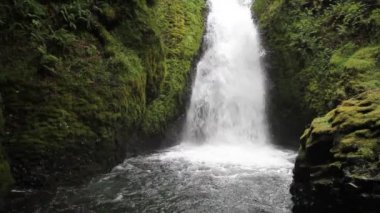 Gelin veil falls Oregon 1920 x 1080 columbia river gorge gelin veil dere bulunmaktadır