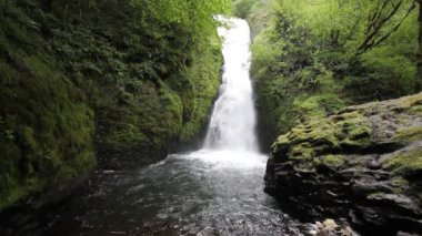 Gelin veil falls Oregon 1920 x 1080 columbia river gorge gelin veil dere bulunmaktadır