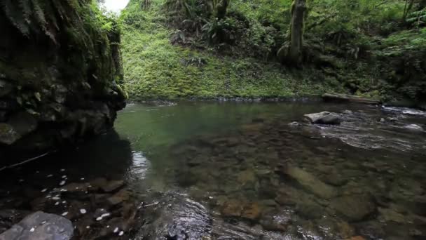 Bridal Veil Falls Creek le long des gorges du fleuve Columbia en Oregon 1920x1080 — Video