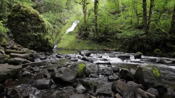 Gelin veil falls creek boyunca columbia river gorge Oregon 1920 x 1080 — Stok video