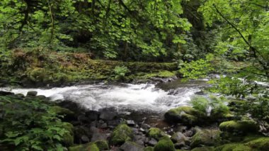 Cedar creek woodland washington güzel akarsu hidro iktidardan 1920 x 1080 closeup harnessed tarihi grist değirmen ev olduğunu.
