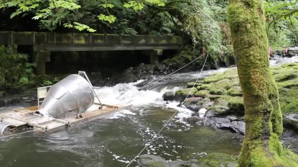 Dispositivo a vite rotante utilizzato per intrappolare e rilasciare pesci come salmone e trote a valle in modo non distruttivo per la ricerca nel Cedar Creek Grist Mill 1920x1080 — Video Stock